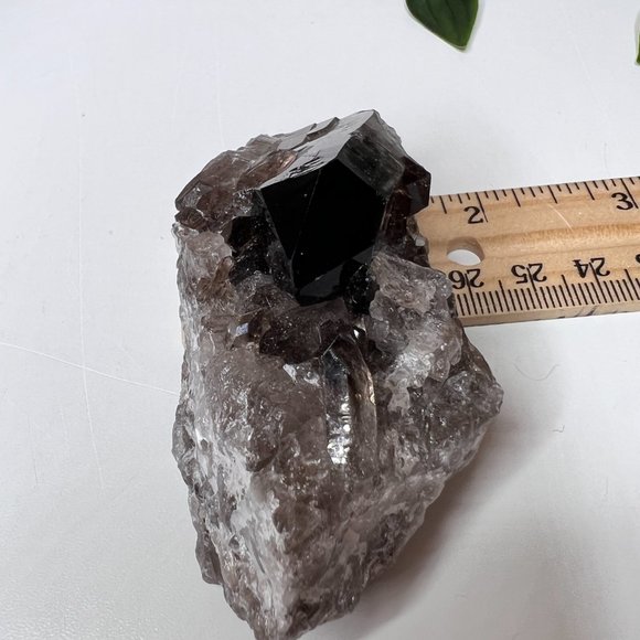 Smoky Quartz Crystal Points Cluster - Smoky Quartz Point Crystal Cluster - Picture 6 of 11